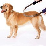 Dual-Sided Shedding Blade for All Dogs - Purple