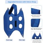 Dog Grooming Hammock Kit for Medium Dogs