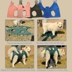 Dog Grooming Hammock Kit for Medium Dogs