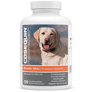 Nutramax Cosequin Maximum Strength Joint Supplement for Dogs