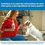 Nutramax Cosequin Maximum Strength Joint Supplement for Dogs