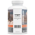 Nutramax Cosequin Maximum Strength Joint Supplement for Dogs