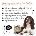 Bugalugs Salmon Oil for Dogs & Cats - 500ml