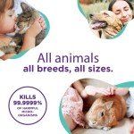 Veterinary Antiseptic Ear Drops for Pets