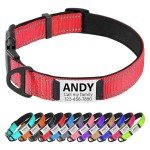 Personalized Reflective Padded Dog Collar, Red