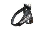 Julius-K9 Mini Color & Gray Belt Harness