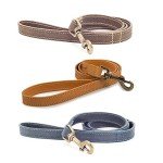 Durable Timberwolf Leather Dog Lead - 1m