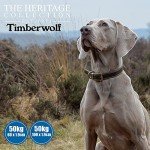 Durable Timberwolf Leather Dog Lead - 1m