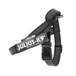 Julius-K9 Mini Color & Gray Belt Harness
