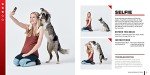 Super Dog Tricks: Step-by-Step Training for Success