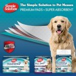 Extra Large Absorbent Dog Training Pads - 10 Pack