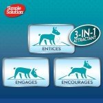 Extra Large Absorbent Dog Training Pads - 10 Pack