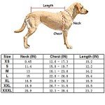 Windproof Reflective Dog Jacket - Eco-Friendly Design