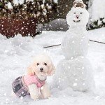 BINGPET Plaid Dog Jumper Dress for Fall Winter