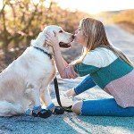 Waterproof Dog Boots with Reflective Straps - 4 Pack