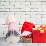 BINGPET Plaid Dog Jumper Dress for Fall Winter