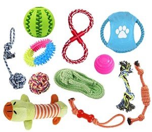 12-Piece Durable Rope Toy Set for Dogs