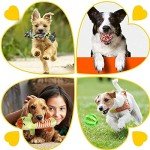 12-Piece Durable Rope Toy Set for Dogs