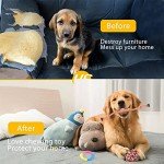 12-Piece Durable Rope Toy Set for Dogs