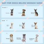 Weather-Resistant Plastic Dog House for Medium Dogs