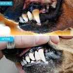 ZOVIRA Double-Headed Pet Dental Plaque Remover