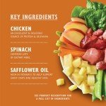 Lily's Kitchen Grain-Free Wet Dog Food Variety Pack