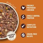 Lily's Kitchen Grain-Free Wet Dog Food Variety Pack