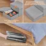 DREAMSOULE 2-Step Extra Wide Dog Stairs - Grey