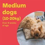 Bob Martin Flea Treatment for Medium Dogs