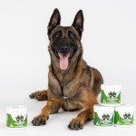 NutriPaw Calming Treats for Stress-Free Dogs