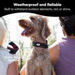 Black Rhino Comfort Dog Collar - Medium Black