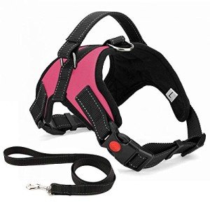 Adjustable No-Pull Dog Harness with Lead - Pink