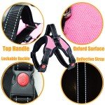 Adjustable No-Pull Dog Harness with Lead - Pink