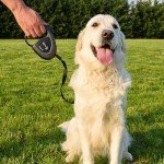 Ferplast Flippy Tech Retractable Dog Lead - Medium