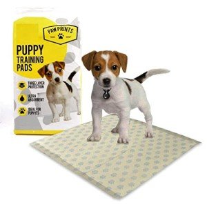 Large Absorbent Dog Puppy Training Pads - 100 Pack