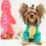 Dinosaur Dog Halloween Hoodie for Small-Medium Pets