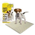 Large Absorbent Dog Puppy Training Pads - 100 Pack