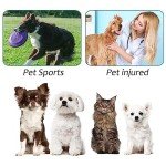 Anti-Slip Dog Socks with Waterproof Rubber Bottoms