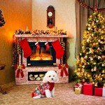 KOOLTAIL Soft Turtleneck Dog Sweater Coat