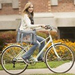 Soft-Sided Airline-Approved Dog Carrier for Travel