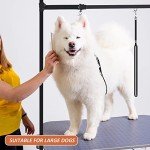 Adjustable Dog Grooming Arm with Clamp and Noose