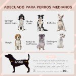 Elevated Wooden Dog House for Small to Medium Dogs