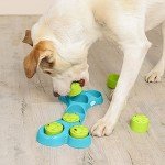 Interactive Dog Puzzle Treat Dispenser - Blue/Green