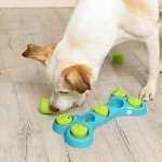 Interactive Dog Puzzle Treat Dispenser - Blue/Green