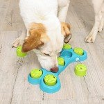 Interactive Dog Puzzle Treat Dispenser - Blue/Green