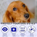 Eye Supplements for Dogs - 180 Chews for Vision