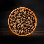 AATU 80/20 High Protein Chicken Dry Dog Food