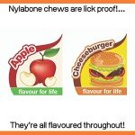 Nylabone Tough Chew Toy for Small Dogs