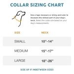 Urban Dog Collar Set with Leash and Harness