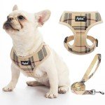 PUPTECK Soft Mesh Dog Harness for Small Pets